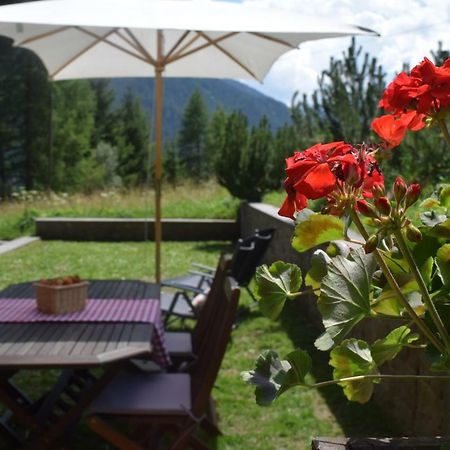 Chalet Do Costa Поцца-ди-Фасса Экстерьер фото